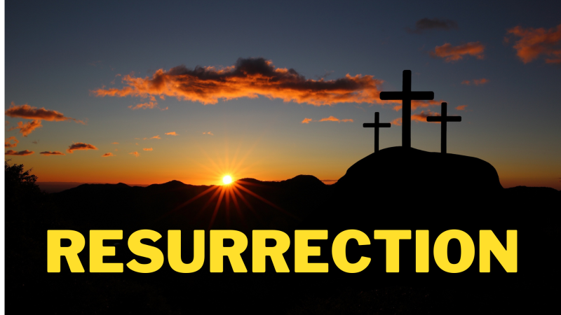 The Resurrection And The Life